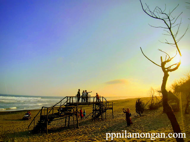 Pantai Cemara Sewu Bantul: Surga Tersembunyi di Yogyakarta